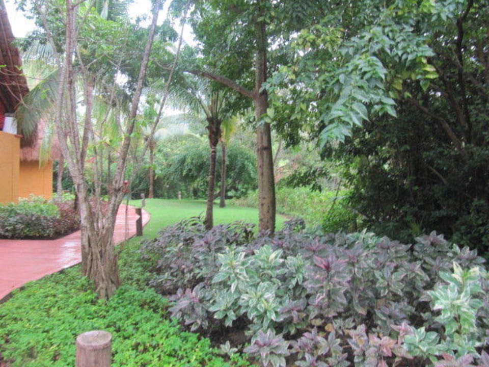 Ogród Catalonia Playa Maroma