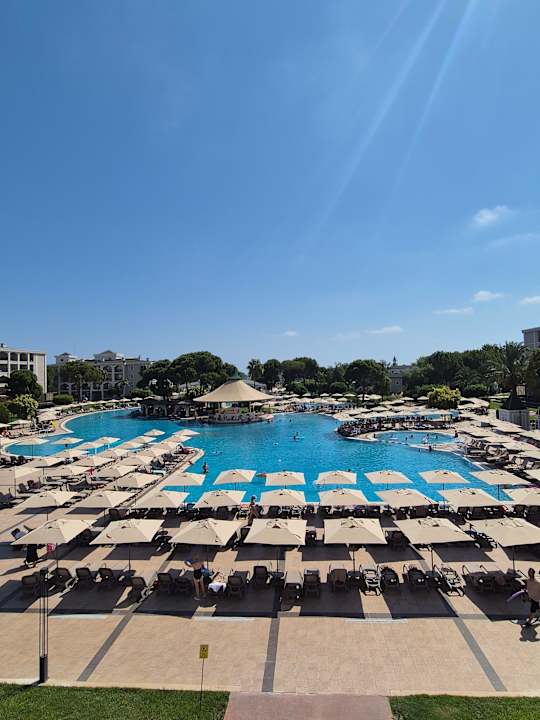 Sonstiges Ducale Lara