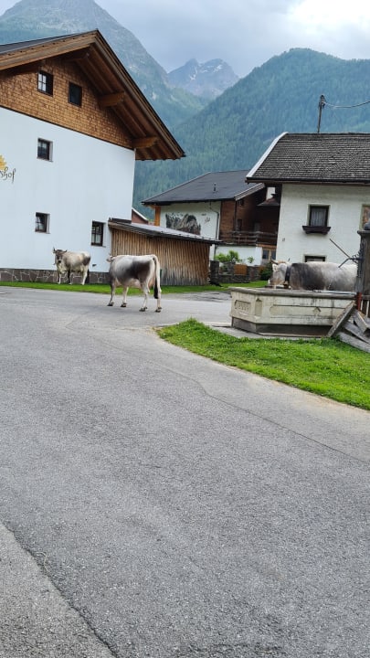 Ausblick Ferienhaus Volgger
