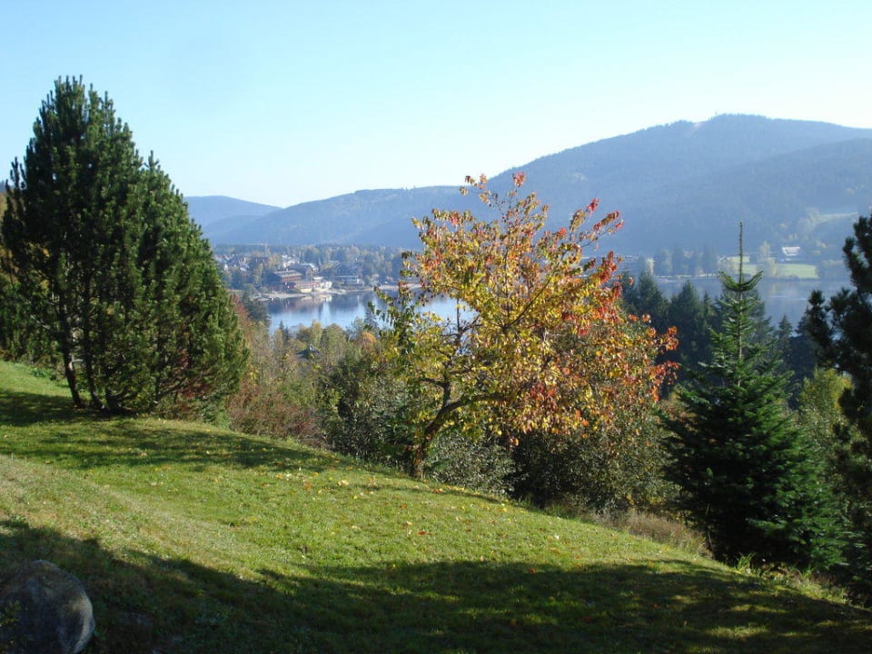 Ausblick von Terrasse des Appartments NATURE TITISEE - Easy Life Hotel