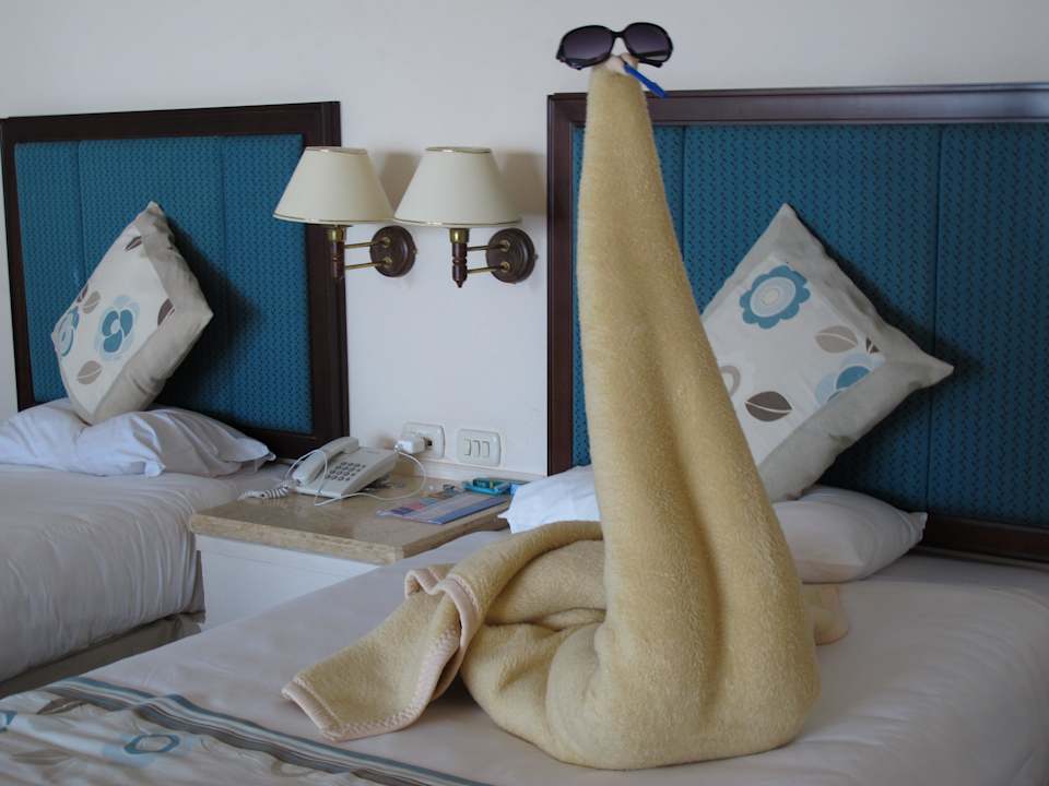 Beautiful Swan at the room Pickalbatros Citadel Resort