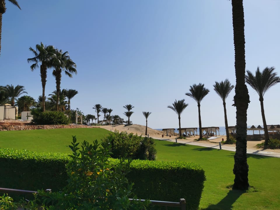 Gartenanlage Steigenberger Coraya Beach - Adults only