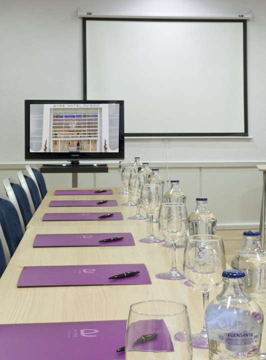 Salón  Hotel Ramiro I