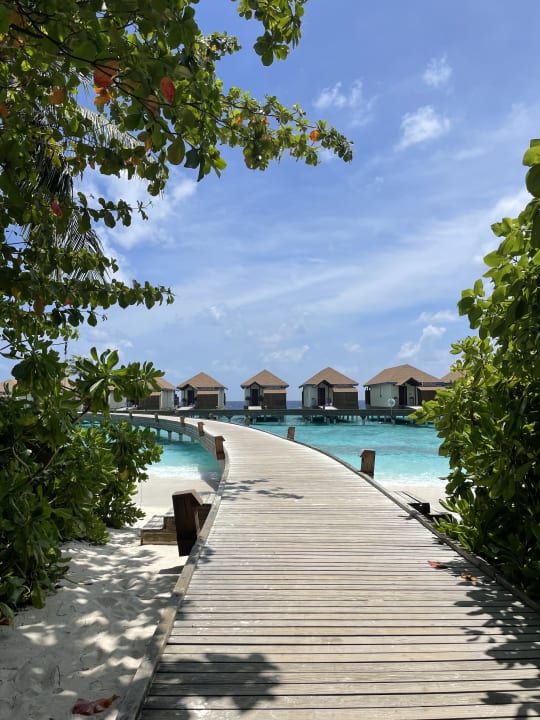 Außenansicht Reethi Faru Resort