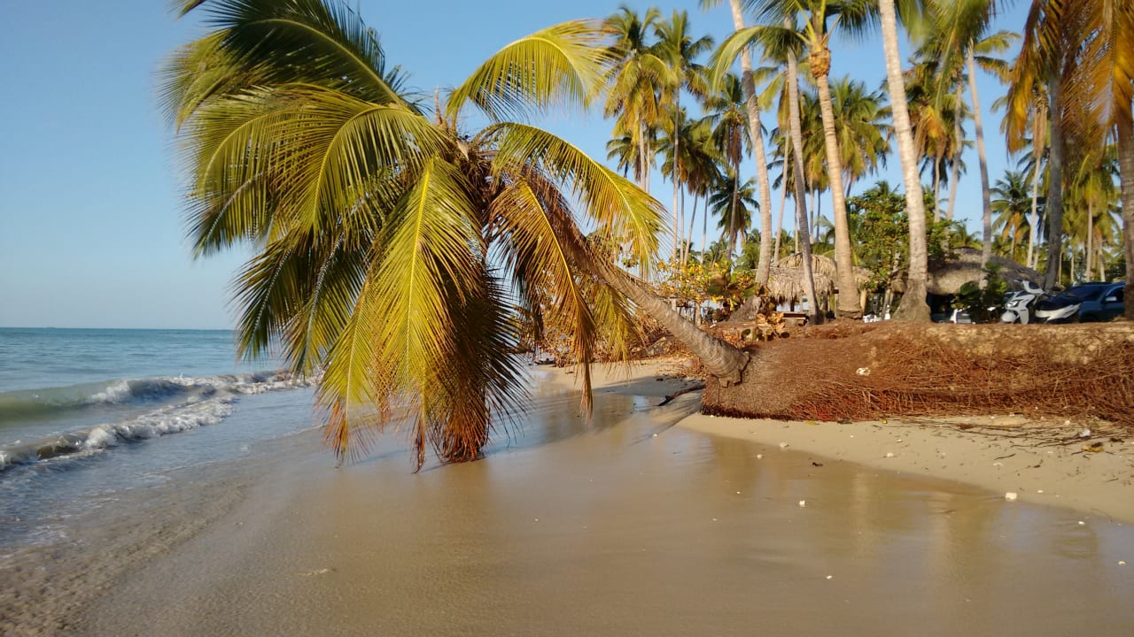 Strand Viva V Samana by Wyndham – Adults Only