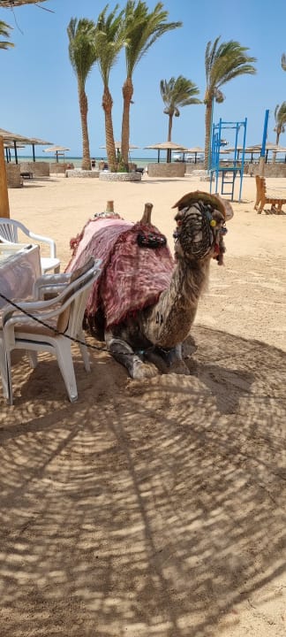 Strand Golden Beach Resort