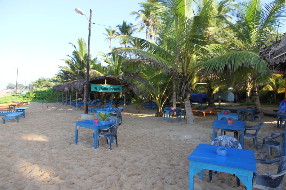 Ansicht Strand von der Bar aus Palm Beach Guesthouse