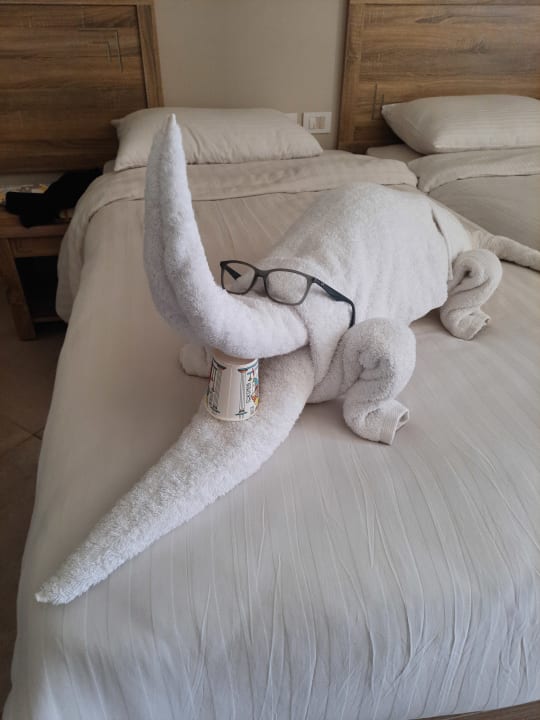 Zimmer Three Corners Sea Beach Resort