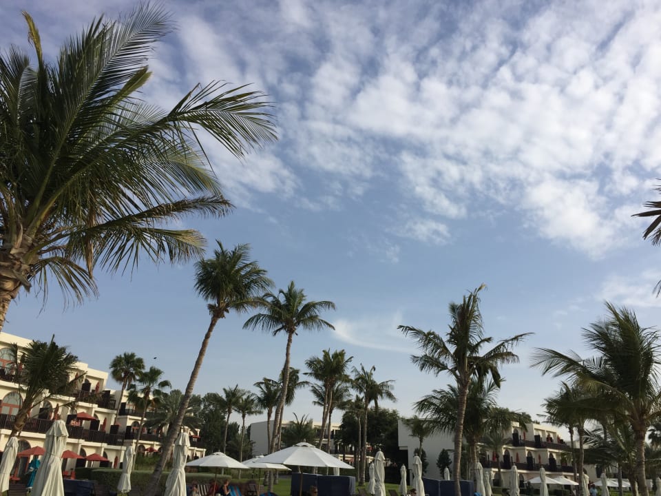 Außenansicht JA Palm Tree Court