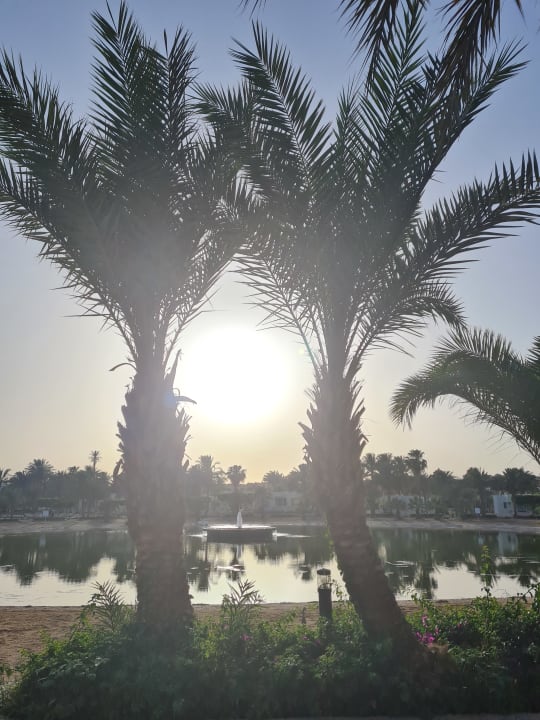 Gartenanlage Pharaoh Azur Resort