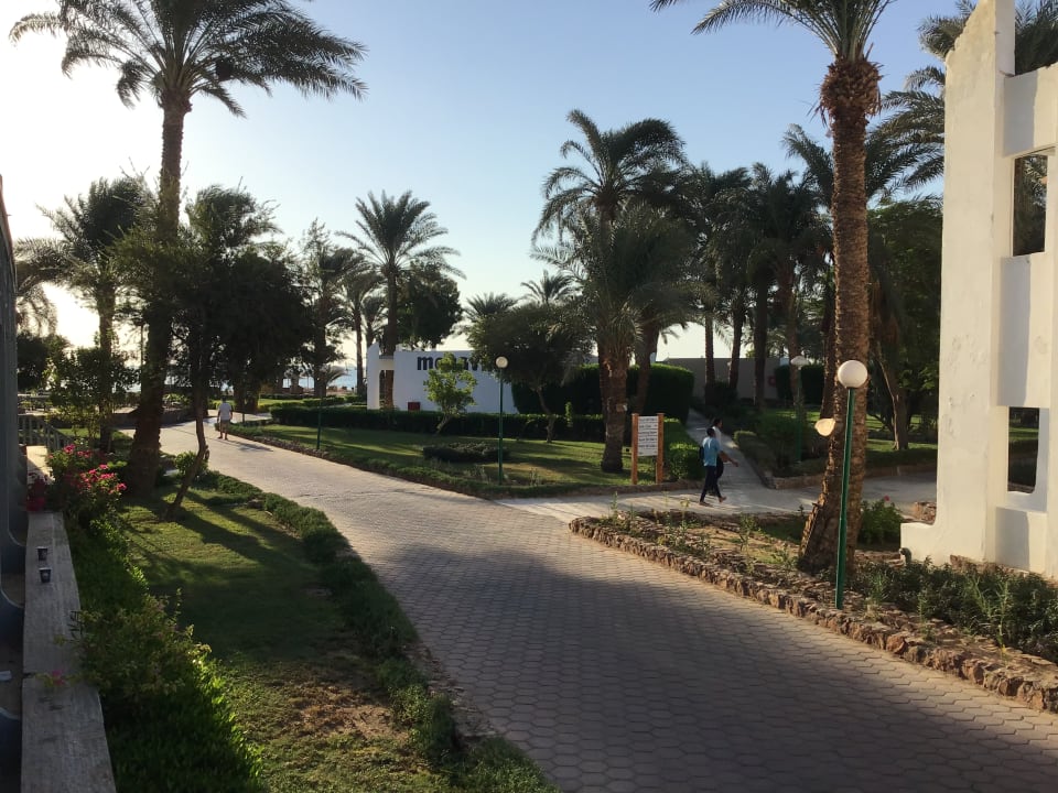 Gartenanlage Menaville Safaga