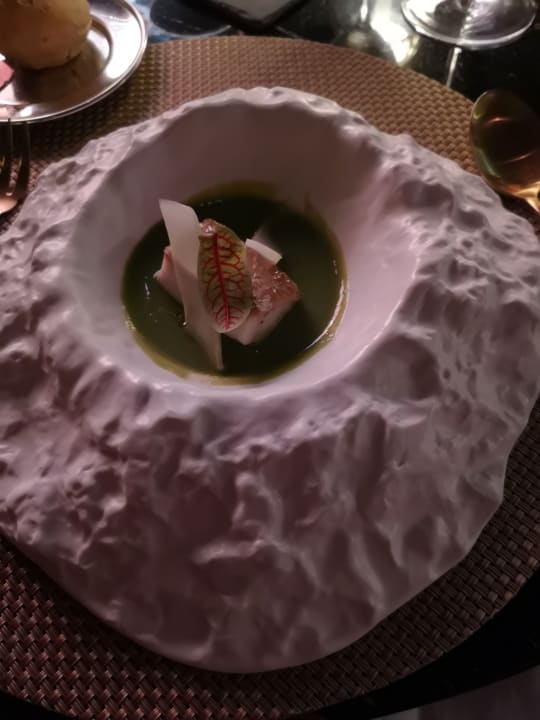 Gastro TRS Yucatan Hotel - Adults only
