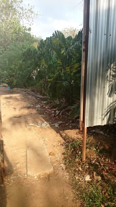 Vorne Hui hinten Pfui The Leaf on The Sands by Katathani