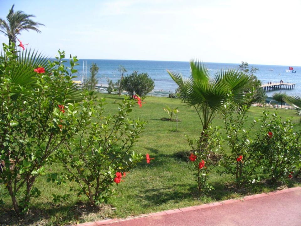 Gartenanlage Hotel Turan Prince