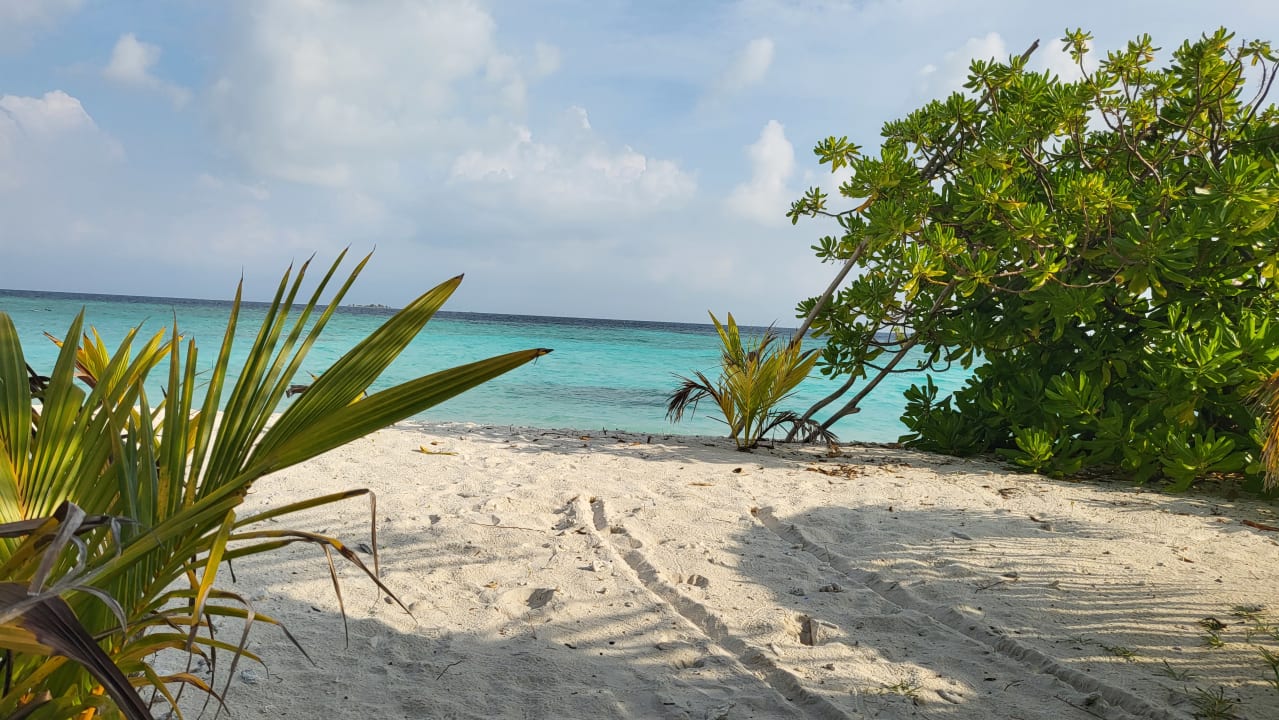Ausblick Filitheyo Island Resort