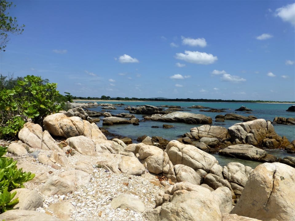 Strand Jungle Beach by Uga Escapes