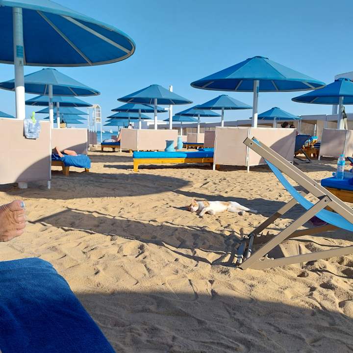Strand Pickalbatros Blu Spa Resort