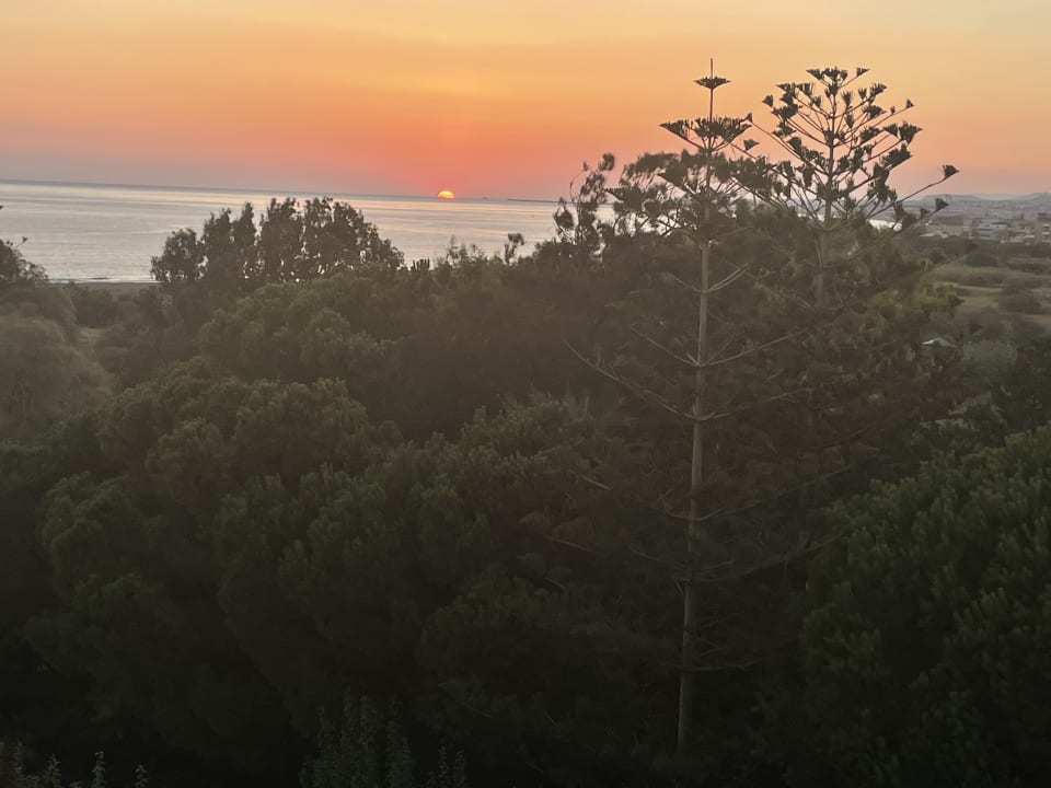 Ausblick Apollonia Beach Resort & Spa