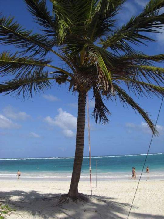 Palme am Strand Punta Cana Princess All Suites Resort & Spa
