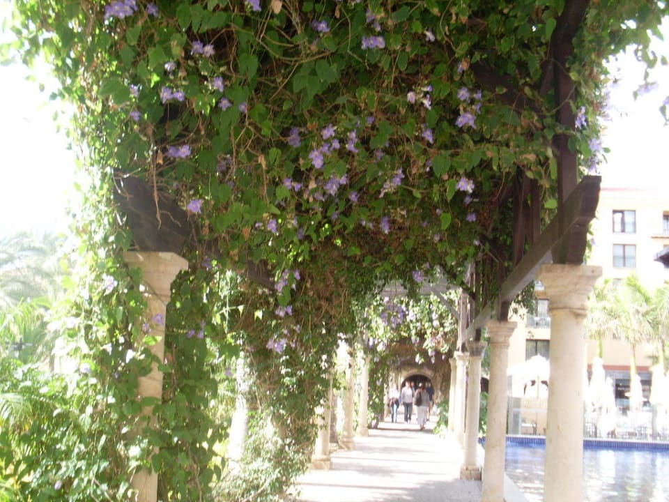 Hotelgarten Lopesan Costa Meloneras, Resort & Spa