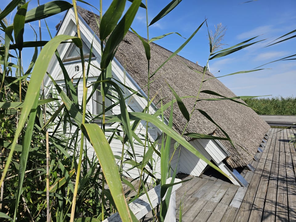 Außenansicht Seehütte Neusiedlersee - Urlaub am Wasser - Seehütte Sonnendeck