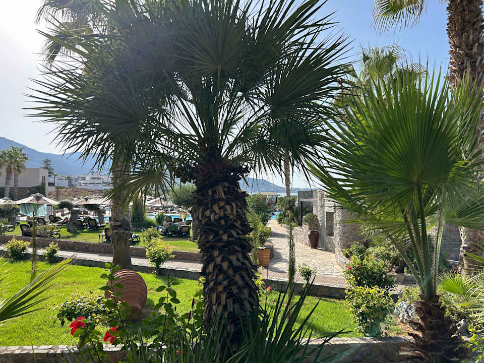Zimmer Ikaros Beach Luxury Resort & Spa - Adults Only