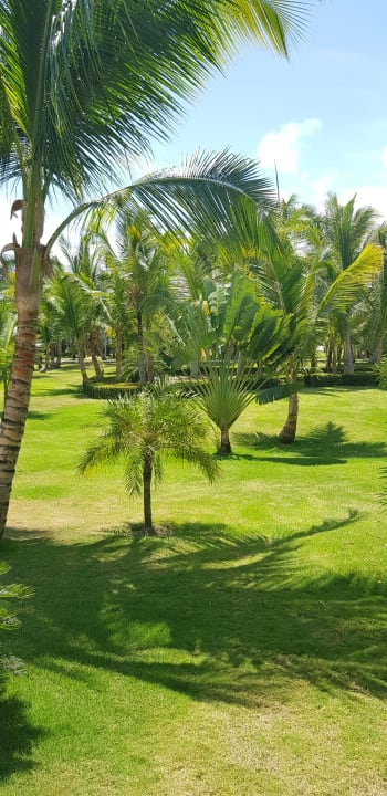 Gartenanlage Hotel Riu Republica - Adults only