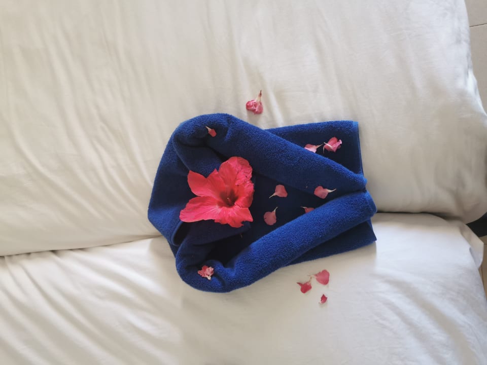 Zimmer Calimera Yati Beach