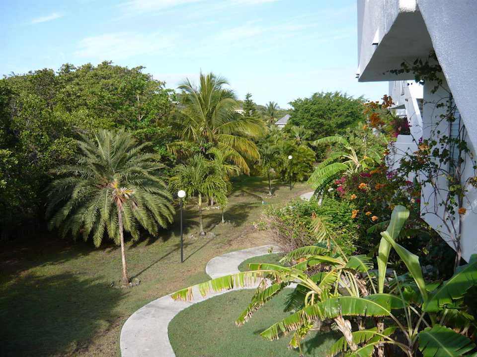 Gartenanlage Hotel Coconut Beach Club