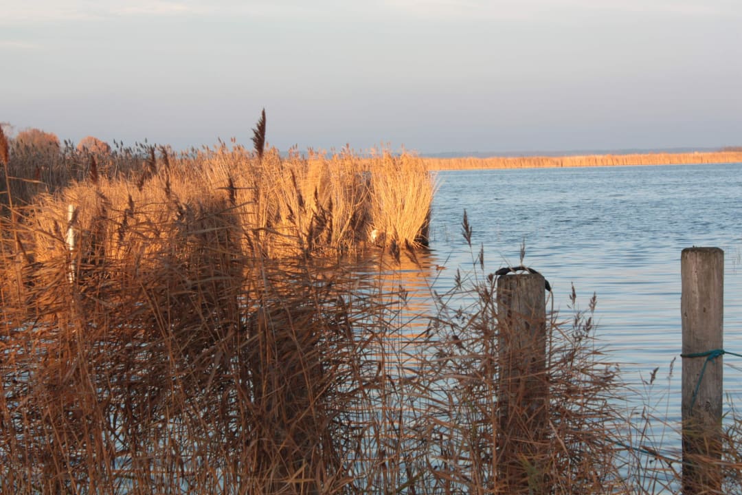 Ausblick Balmer See Hotel · Golf · Spa