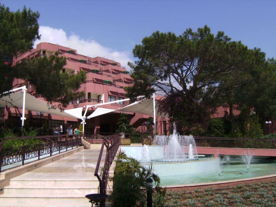 Ansicht vom Garten Balmy Foresta