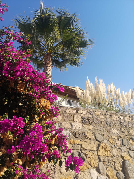 Sonstiges Hotel Kouros Palace