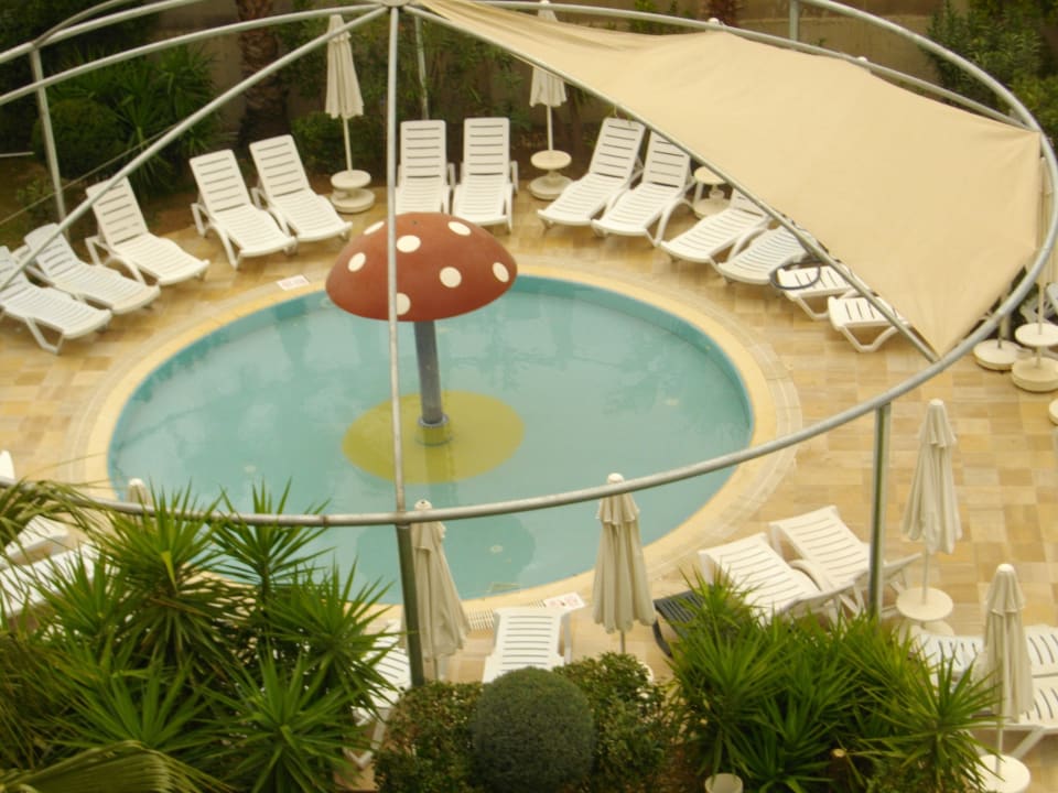 Pool Calimera Hane Garden