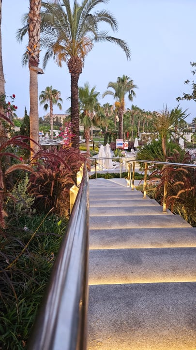 Gartenanlage Hotel Novum Garden Side