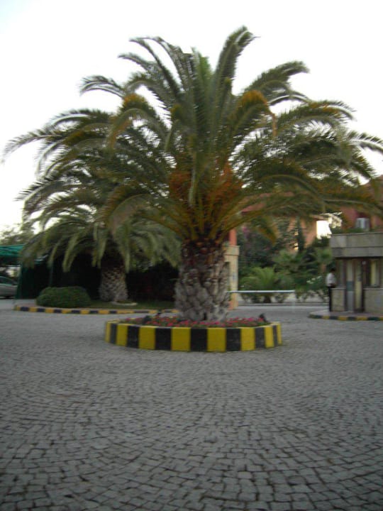 Aus dem Haupteinganng Alba Resort Hotel