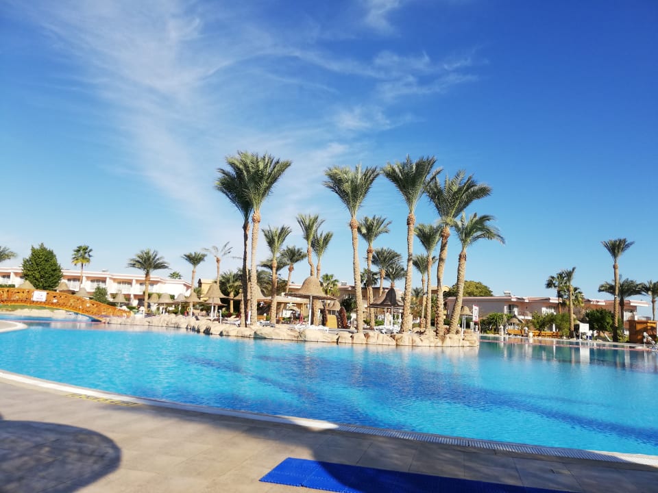 Gartenanlage Parrotel Beach Resort