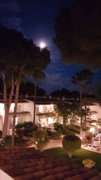 Ausblick Iberostar Waves Pinos Park