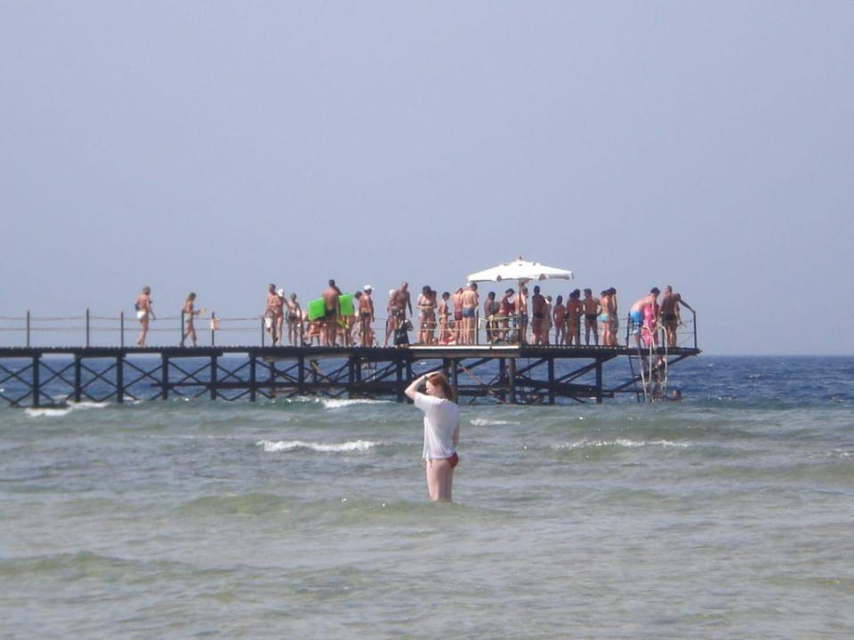 Steg Serenity Alpha Beach