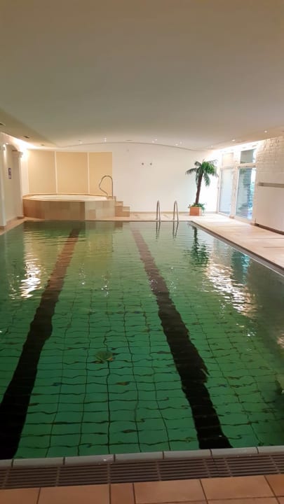 Pool Seehotel am Tankumsee