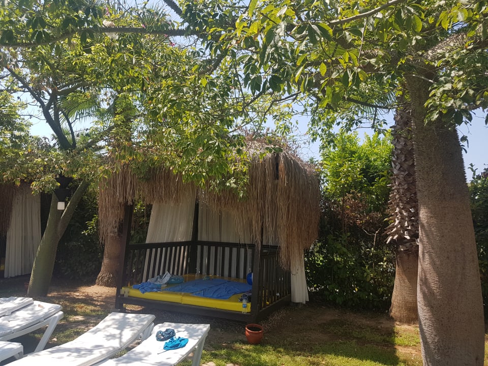 Gartenanlage Saturn Palace Resort Hotel