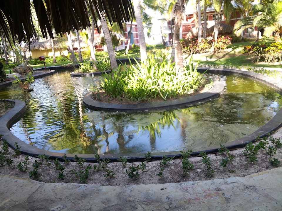 Teich vor der Rezeption Grand Palladium Select Bávaro Resort & Spa