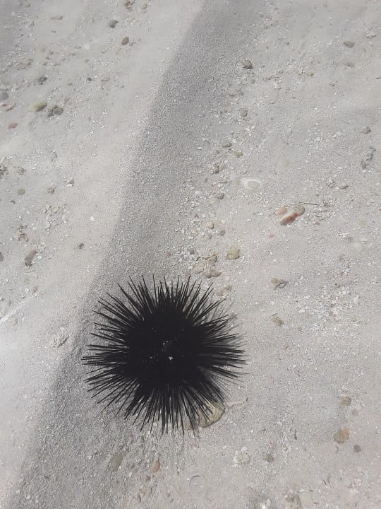 Strand Neptune Village Beach Resort & Spa