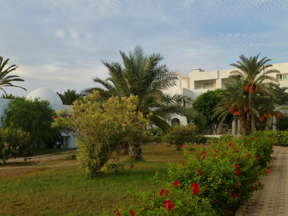 Auf dem Weg zum Pool Hotel El Mouradi Djerba Menzel