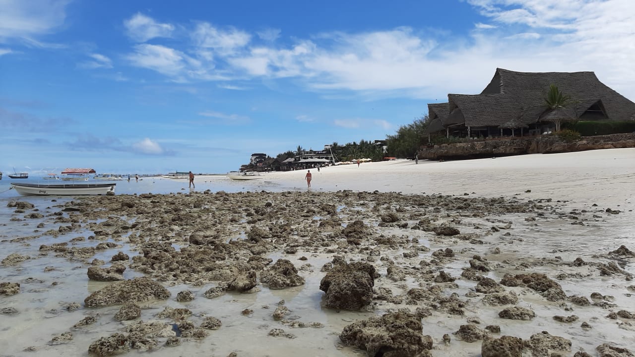 Strand Sandies Baobab Beach Zanzibar Nungwi • Holidaycheck Zanzibar Sansibar Tansania