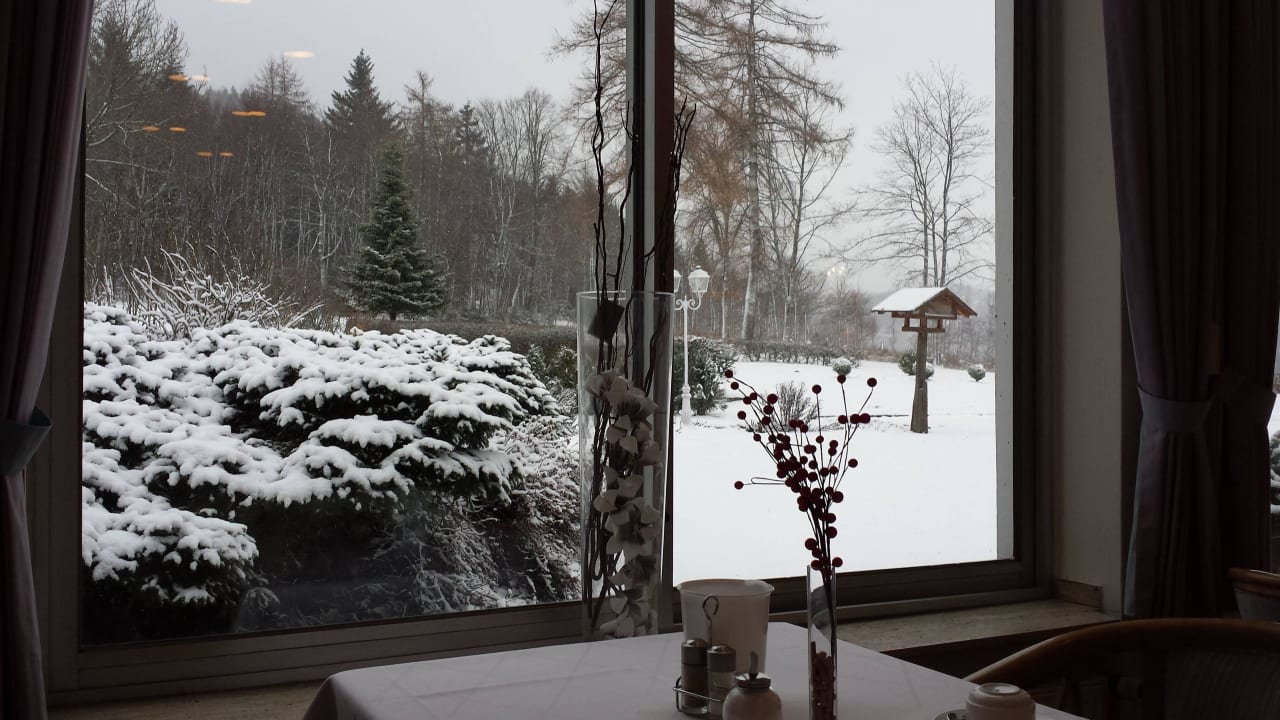 Blick vom Frühstückstisch Berghotel Hoher Knochen