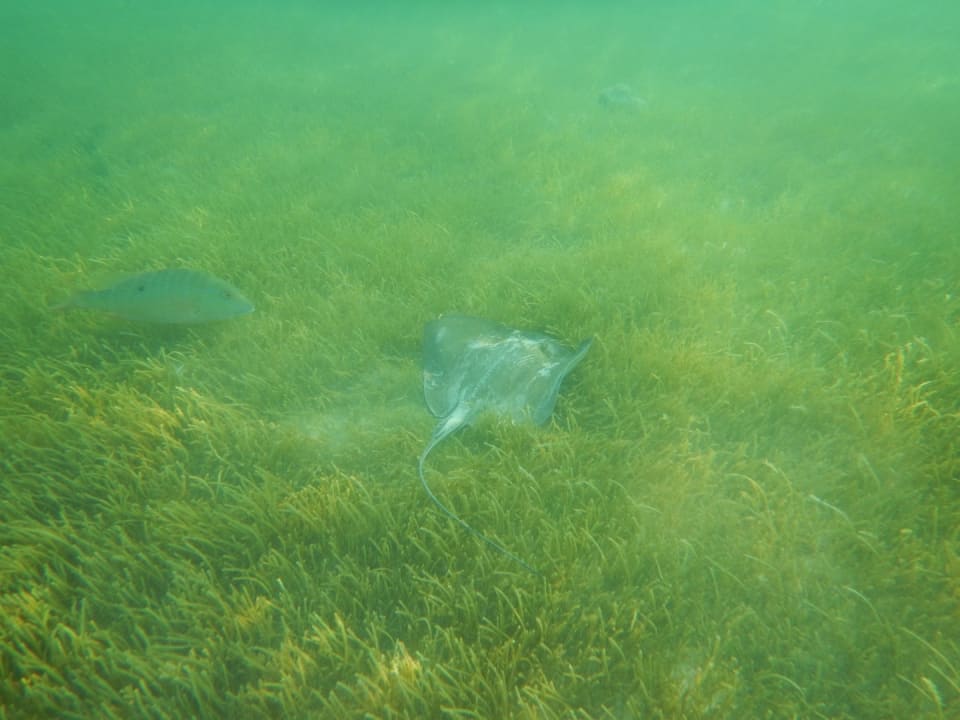 Strand Akumal Bay Beach & Wellness Resort