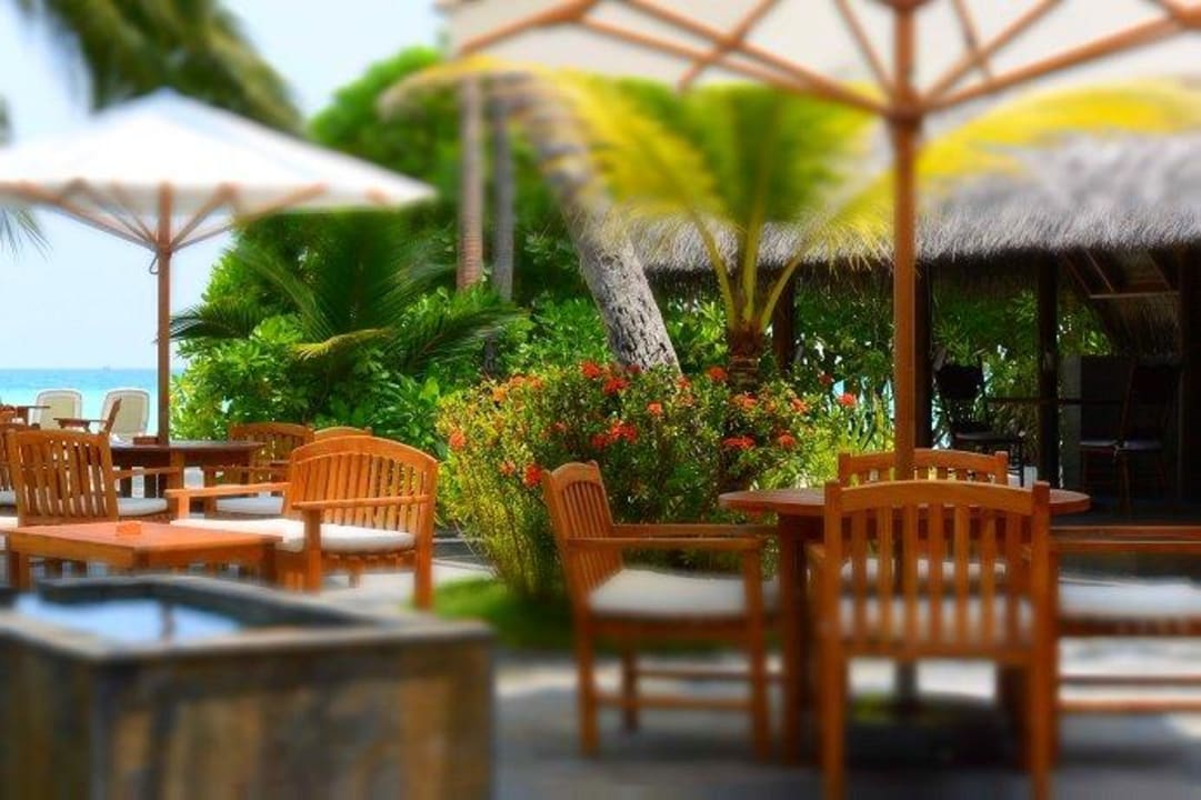 Dohni-Bar Kuramathi Maldives