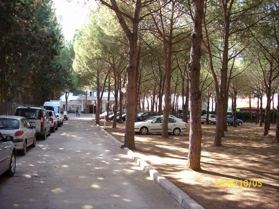 Zufahrt Hotel Grand Efe