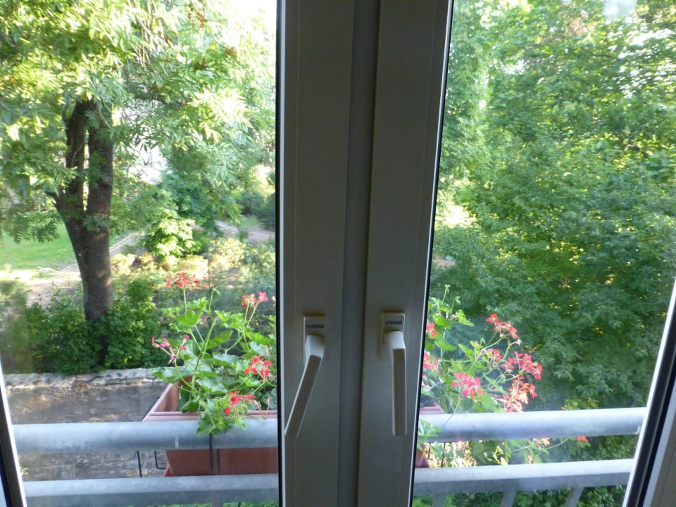 Aussicht Best Western Wein- & Parkhotel Nierstein