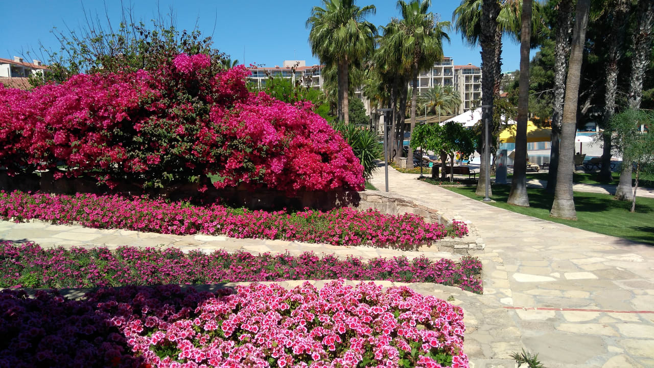 Gartenanlage Arum Barut Collection